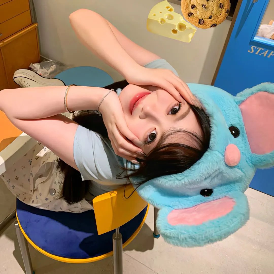 亚当变奏曲封面